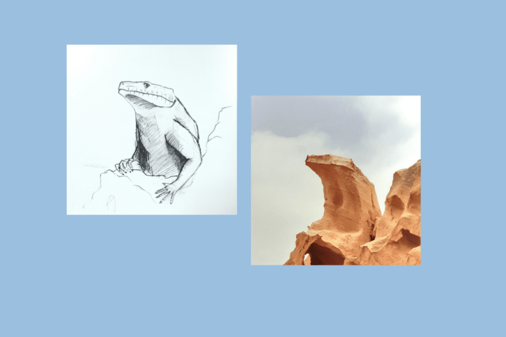Lizard draw and Lizard Rock