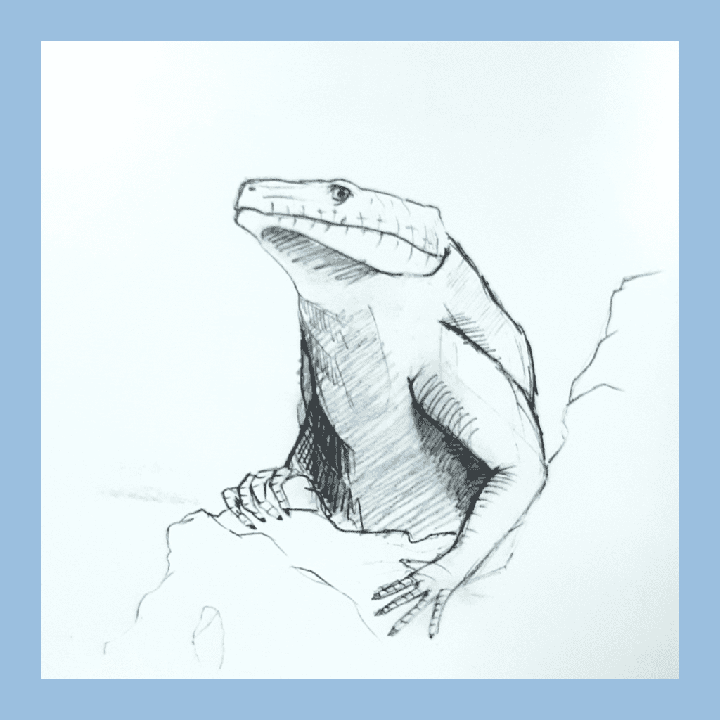Draw of lizard