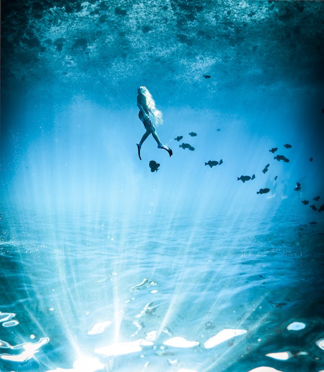 A diver floats to the surface of a transparent ocean, fish swim under his fins.
