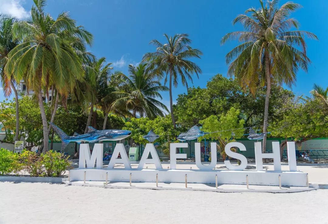 Beautiful Maafushi sign against a backdrop of palm trees.