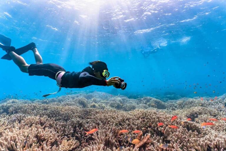 Unforgettable Impressions while Scuba Diving in the Waters of the Maldives with Stunning Views.